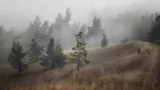 Туман ожидается на большей части Казахстана