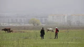 Токаев обратился к Минсельхозу по поводу мяса и раздачи денег