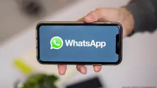 Финансовую пирамиду в WhatsApp организовала жительница Туркестанской области