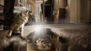 Как повысить уверенность в себе: 5 эффективных способов