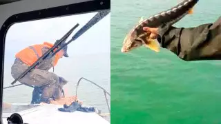 Пограничники проводят операцию против браконьеров на Каспии