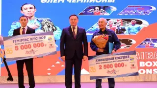 Чемпиону мира по боксу Темиртасу Жусупову подарили квартиру