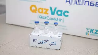 Конкретных договоренностей нет - Цой о поставках QazVac за рубеж