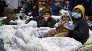 Беларусь очистила лагеря мигрантов на границе с Польшей