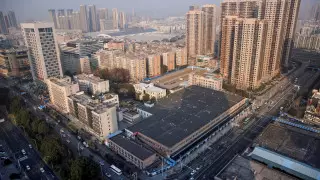 Биолог вычислил "нулевого пациента", с которого началась пандемия COVID-19