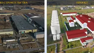 Самый крупный маслозавод появится в СКО