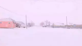 Опасная инфекция напугала жителей Актюбинской области