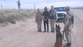 Как собака Райф и пограничники задерживали нарушителя. Истории ПС КНБ