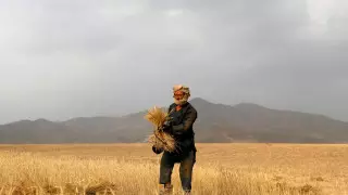 Индия впервые доставит гумпомощь через Пакистан