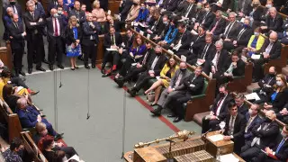 Британский депутат возмутилась запретом на посещение парламента с ребенком