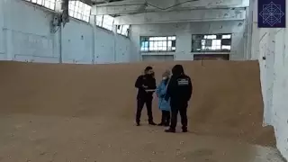 Хищение более миллиарда в сфере сельского хозяйства пресекли в Костанайской области