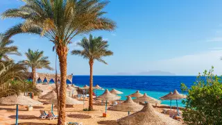 Названы даты вывоза казахстанцев из Египта