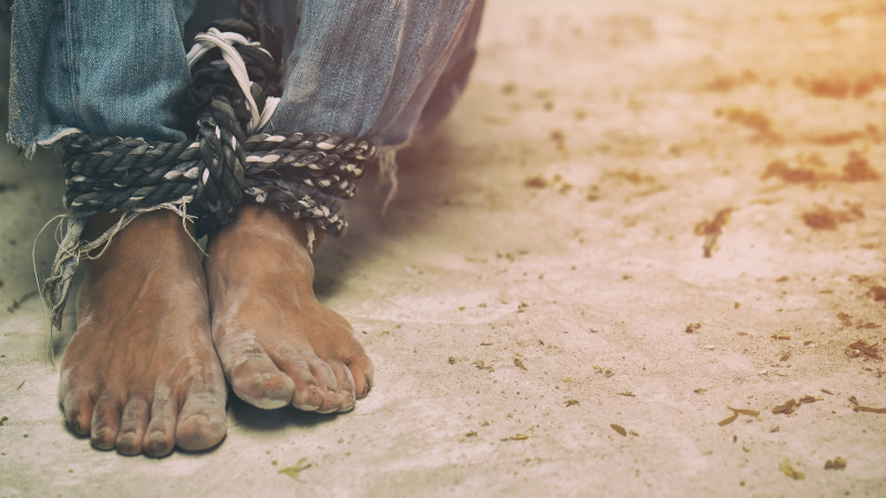 Иллюстративное фото:elements.envato.com