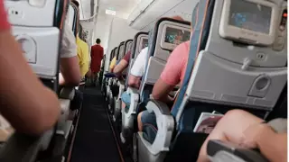 В России разрешили усмирять авиадебоширов спецсредствами