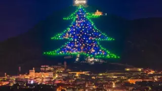 Самая большая елка в мире зажглась в Европе