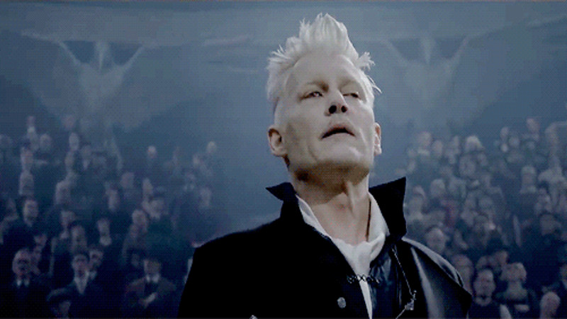 Кадр из фильма "Фантастические твари"