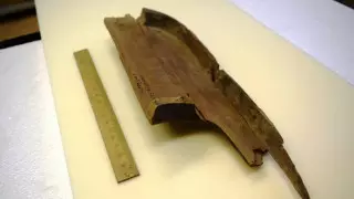 "Лира или домбра?" Казахстанская находка вызвала споры за границей