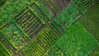 Как взять бесплатно землю под огород в Казахстане