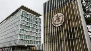 В ВОЗ изучают различные сценарии развития ситуации с COVID-19