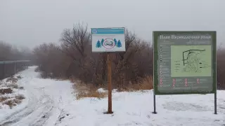 В Уральске идут споры насчет застройки рощи в центре города