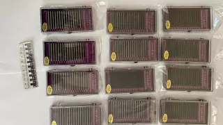 Накладные ресницы из салона красоты вынес офисный вор в Костанае