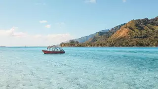 Названы четыре страны, которым удалось избежать коронавируса