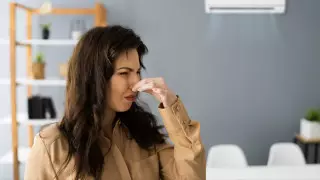 "Карта памяти". Необычную особенность мозга обнаружили ученые