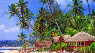 Число рейсов на Шри-Ланку увеличили из Казахстана