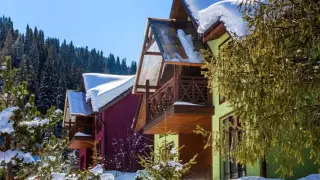 Горнолыжные курорты Алматы и области не пострадали во время ЧП