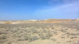 Восемь человек погибли в одном автомобиле в Кызылординской области