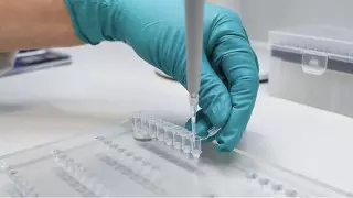 Назван симптом, встречающийся у 73 процентов заразившихся "омикроном"