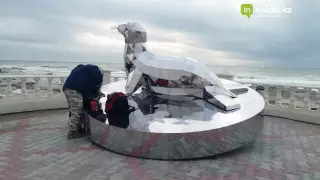 Тюленя в знак "протеста против бездушного отношения" установили в Актау