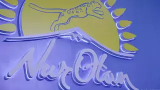 Байбек объявил о количестве региональных делегатов съезда Nur Otan