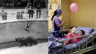 Подарок сброшенной к медведю девочке сделал зоопарк Ташкента