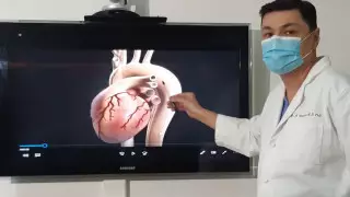 Уволили директора: Хищение средств выявили в кардиоцентре Павлодара