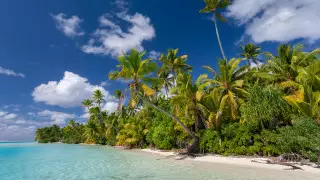 Первый случай заражения коронавирусом выявили на Островах Кука