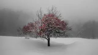 "Под одеялом". 20 красивых кадров, на которых не узнать Алматы