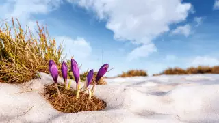 Какой будет весна: прогноз от Казгидромета