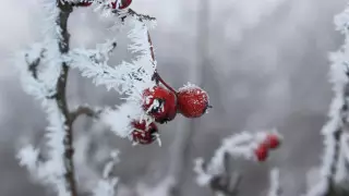 33-градусные морозы без осадков прогнозируют в Казахстане