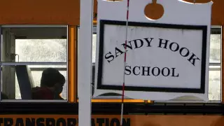 Оружейная компания выплатит компенсацию семьям жертв стрельбы в школе США