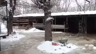 Пекли хлеб днем и ночью. Узбекистанцы попали в рабство на юге Казахстана