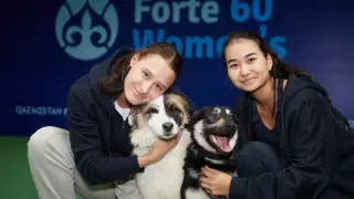 Традиция творить добро. Теннисистки встретились с бездомными животными