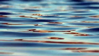 Жителя Жаркента подозревают в загрязнении реки в Алматинской области