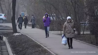 Заболеваемость коронавирусом зафиксировали на уровне 455 случаев за сутки