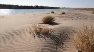 О трудностях с наполнением Шардаринского водохранилища рассказали в Минэкологии