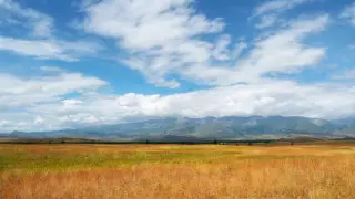 "И где ты сейчас, степное небо?". Воспоминания о 90-х годах