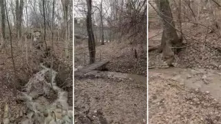 Алматинцы пожаловались на слив нечистот в реку