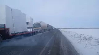 Около 600 фур скопилось на границе с Россией в ЗКО
