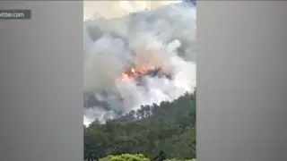 Казахстанцев в разбившемся самолете на юге Китая не было - МИД