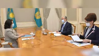 Токаев принял директора Института языкознания